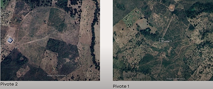 AGRICEL, tumbe monumental, pero en este pueblo no hay ladrones AGRICEL, tumbe monumental, pero en este pueblo no hay ladrones | RTA Noticias