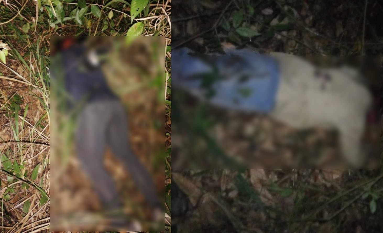 Pareja fue asesinada en zona rural de Pueblo Bello image