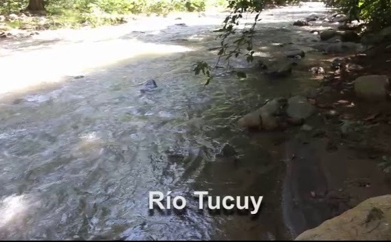 Concesiones habrían secado el río Tucuy en La Jagua de Ibirico | RTA Noticias