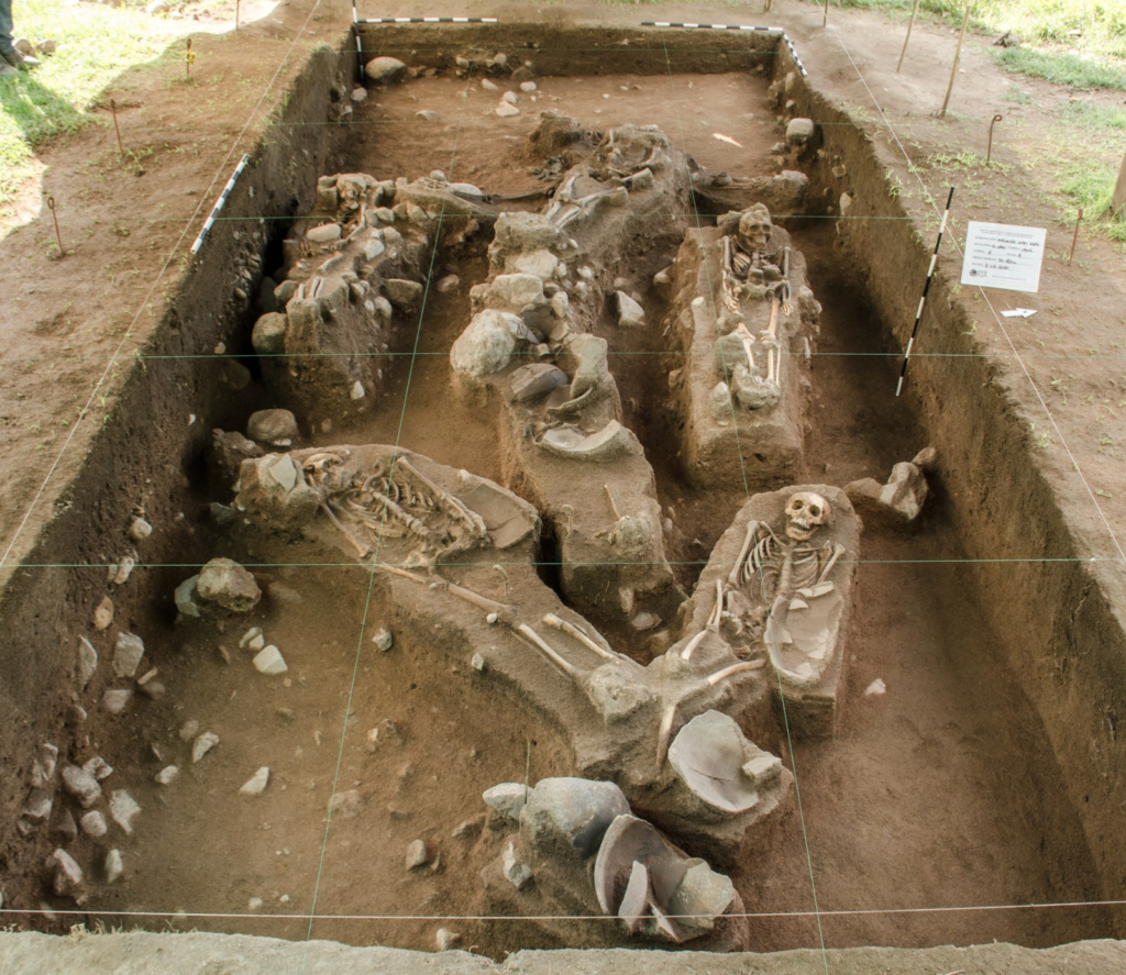 Descubren piezas arqueológicas en proyecto Cuestecitas-Copey-Fundación | RTA Noticias