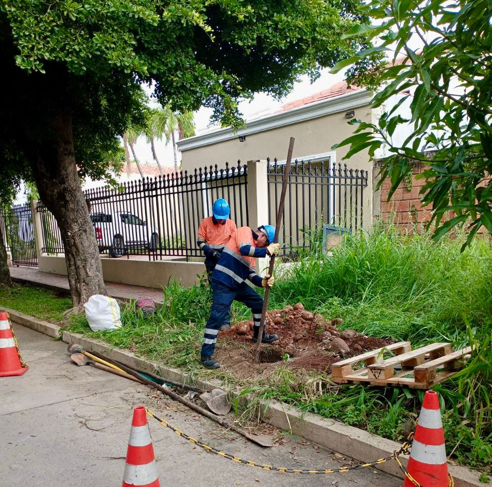 Postes deteriorados de alumbrado público serían cambiados | RTA Noticias