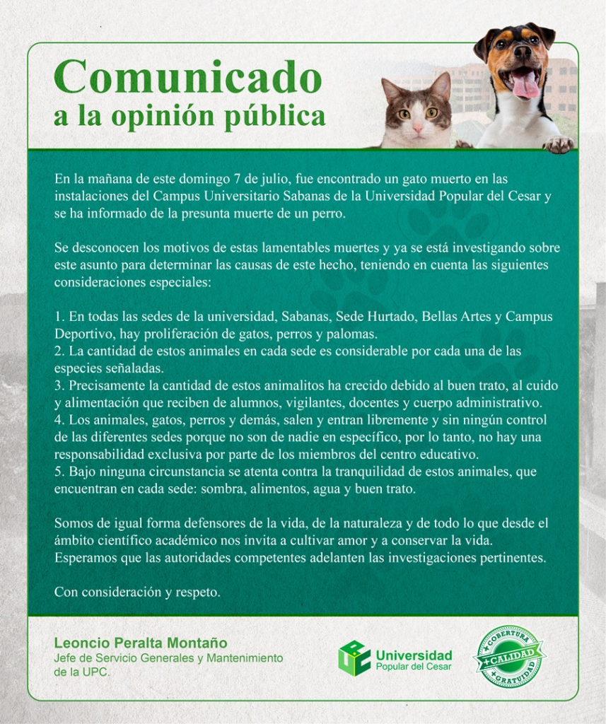 Denuncian envenenamiento de varios perros y gatos en la UPC | RTA Noticias