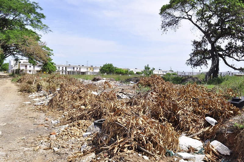 El Cesar enfrenta graves desafíos en gestión de residuos | RTA Noticias