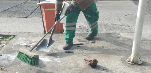 Imagen de WhatsApp 2024-09-09 a las 14.13.42_a625df8d