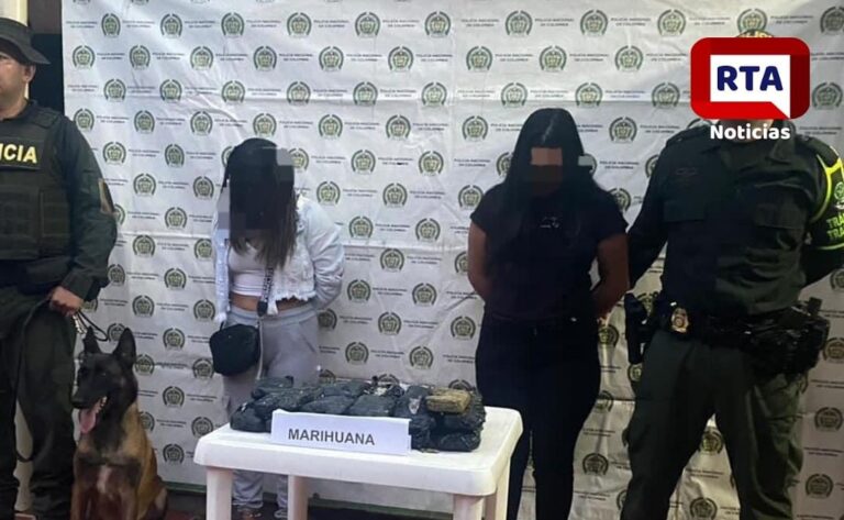 Imagen de WhatsApp 2024-10-02 a las 11.08.33_8d15d45c