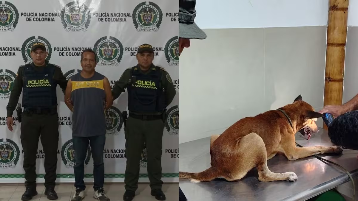 Hombre que intentó matar a un perro en Valledupar queda en libertad y genera indignación Imagen de WhatsApp 2024-10-28 a las 09.27.05_913e30e4