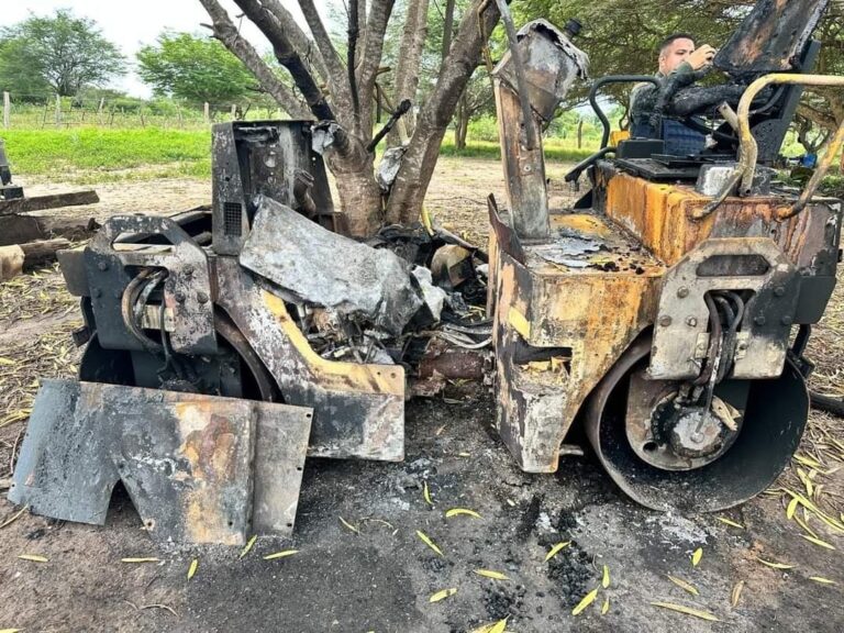 Imagen de WhatsApp 2024-10-29 a las 10.47.57_ab64a200