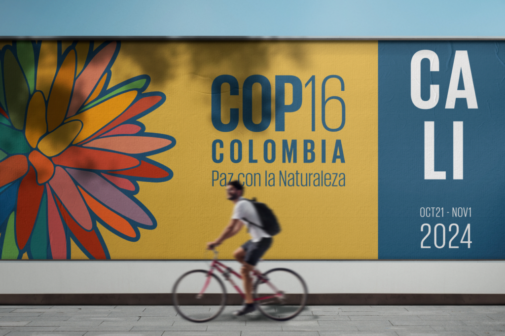 Colombia acoge la COP16: clave para el futuro de la biodiversidad | RTA Noticias
