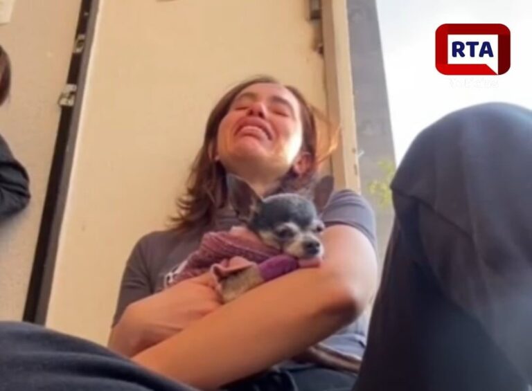 "Me llamo Romina y hoy es mi último dia": el adiós de una perrita conmociona redes Imagen de WhatsApp 2024-11-21 a las 10.11.51_feb53065
