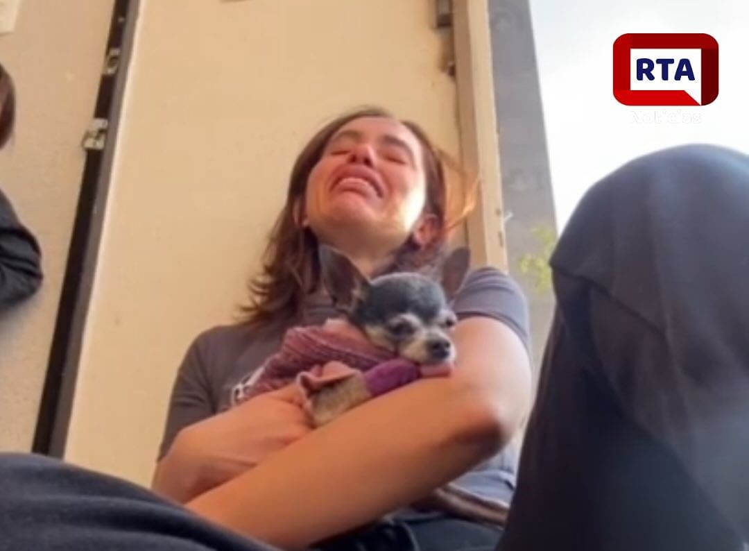 "Me llamo Romina y hoy es mi último dia": el adiós de una perrita conmociona redes Imagen de WhatsApp 2024-11-21 a las 10.11.51_feb53065