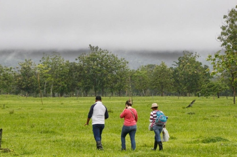 Gobierno entregó más de 3.600 hectáreas de tierra en Antioquia image