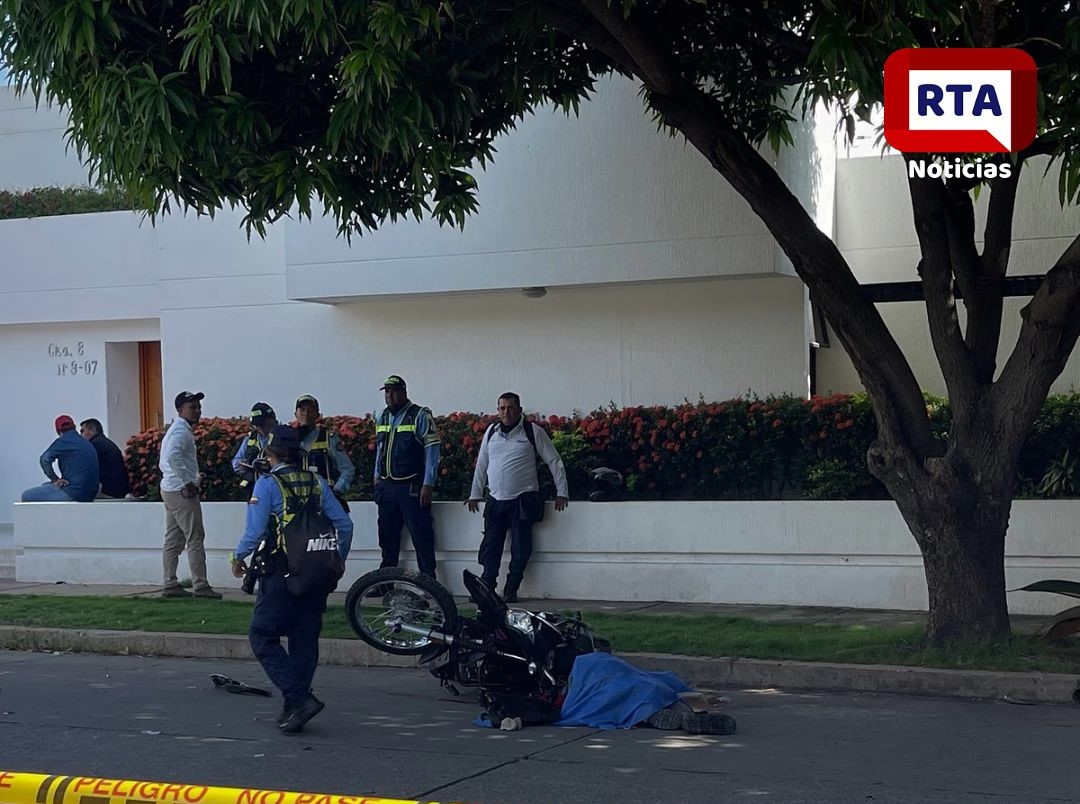 Imagen de WhatsApp 2024-12-02 a las 11.33.40_e82564b3
