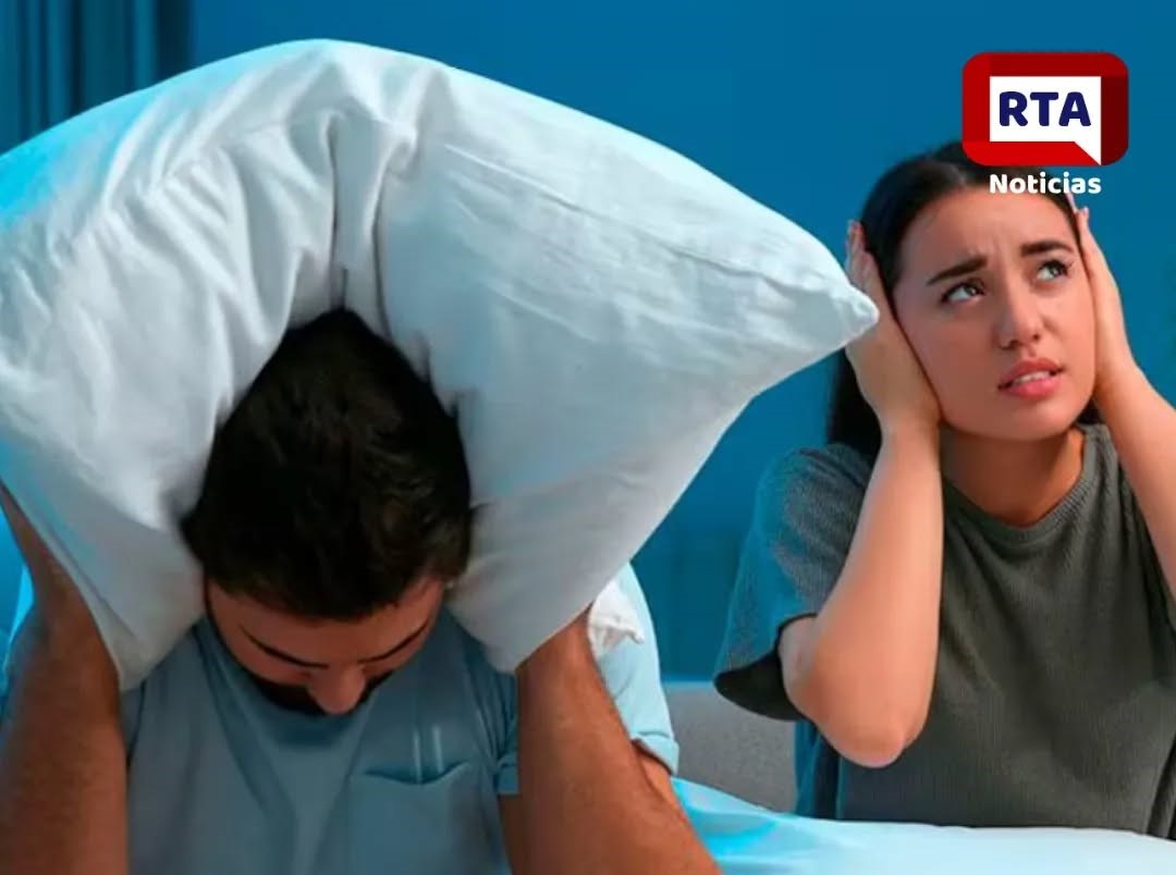 Imagen de WhatsApp 2024-12-12 a las 12.30.12_9a2cb5d0