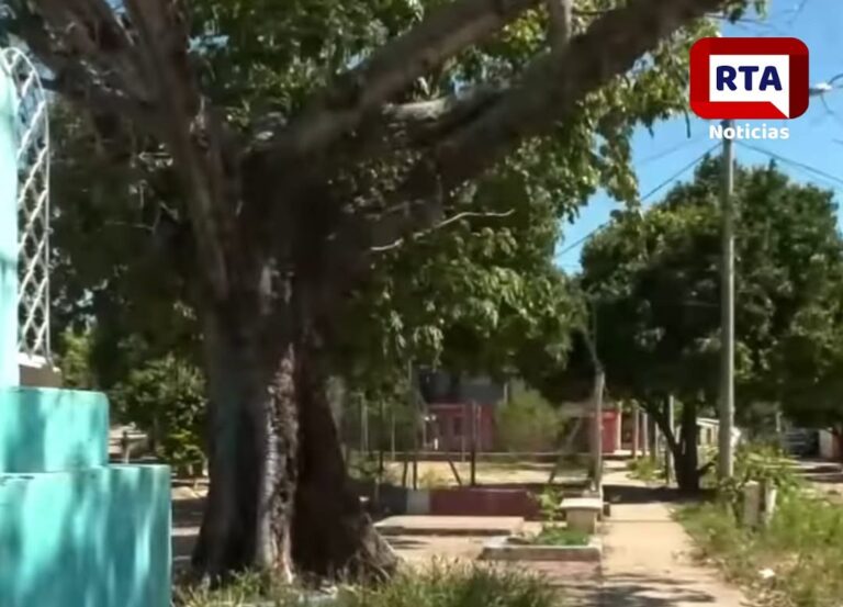 Un hombre fué asesinado en el barrio El Prado Imagen de WhatsApp 2024-12-13 a las 11.35.04_da824b7d