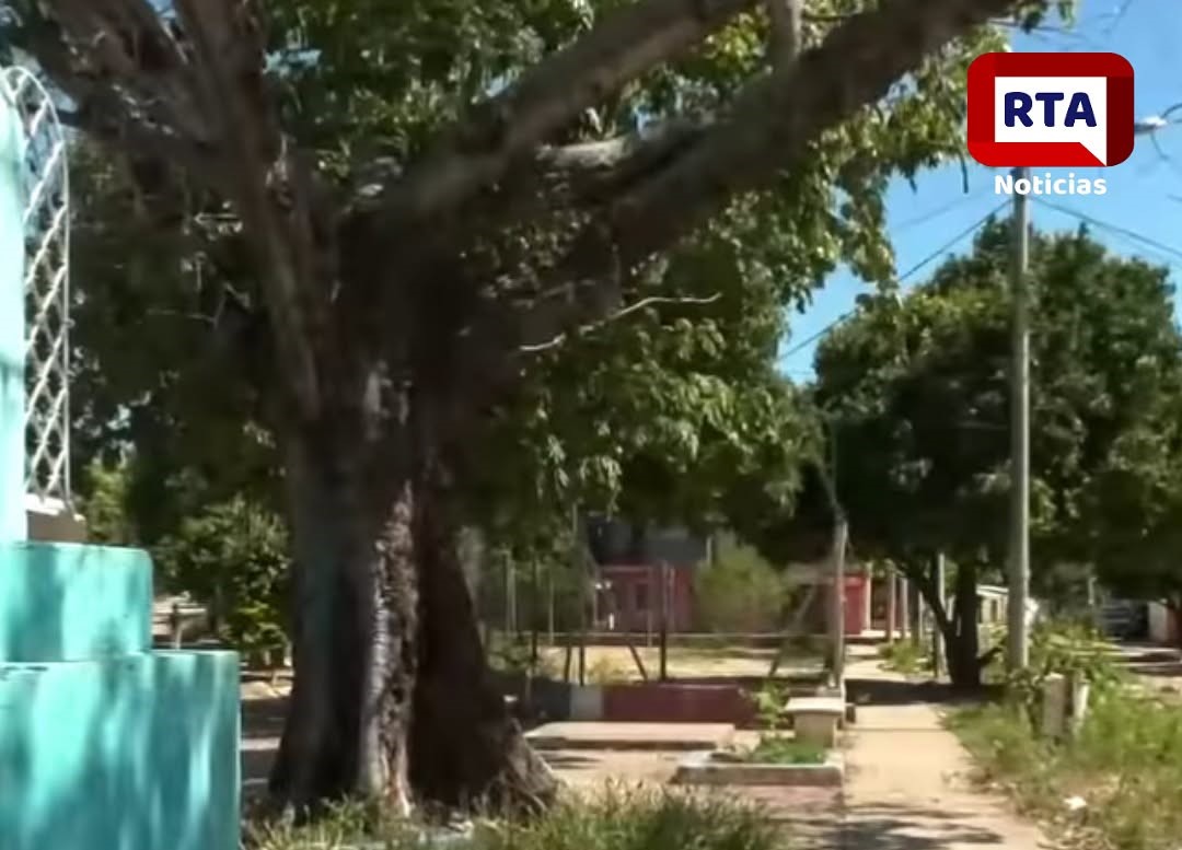 Imagen de WhatsApp 2024-12-13 a las 11.35.04_da824b7d