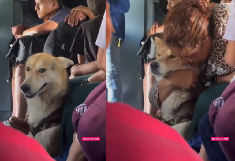 Conmovedor rescate de mujer y su perro en el Catatumbo image