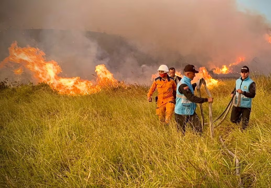 Riesgos de incendios forestales mantiene en alerta al Cesar image