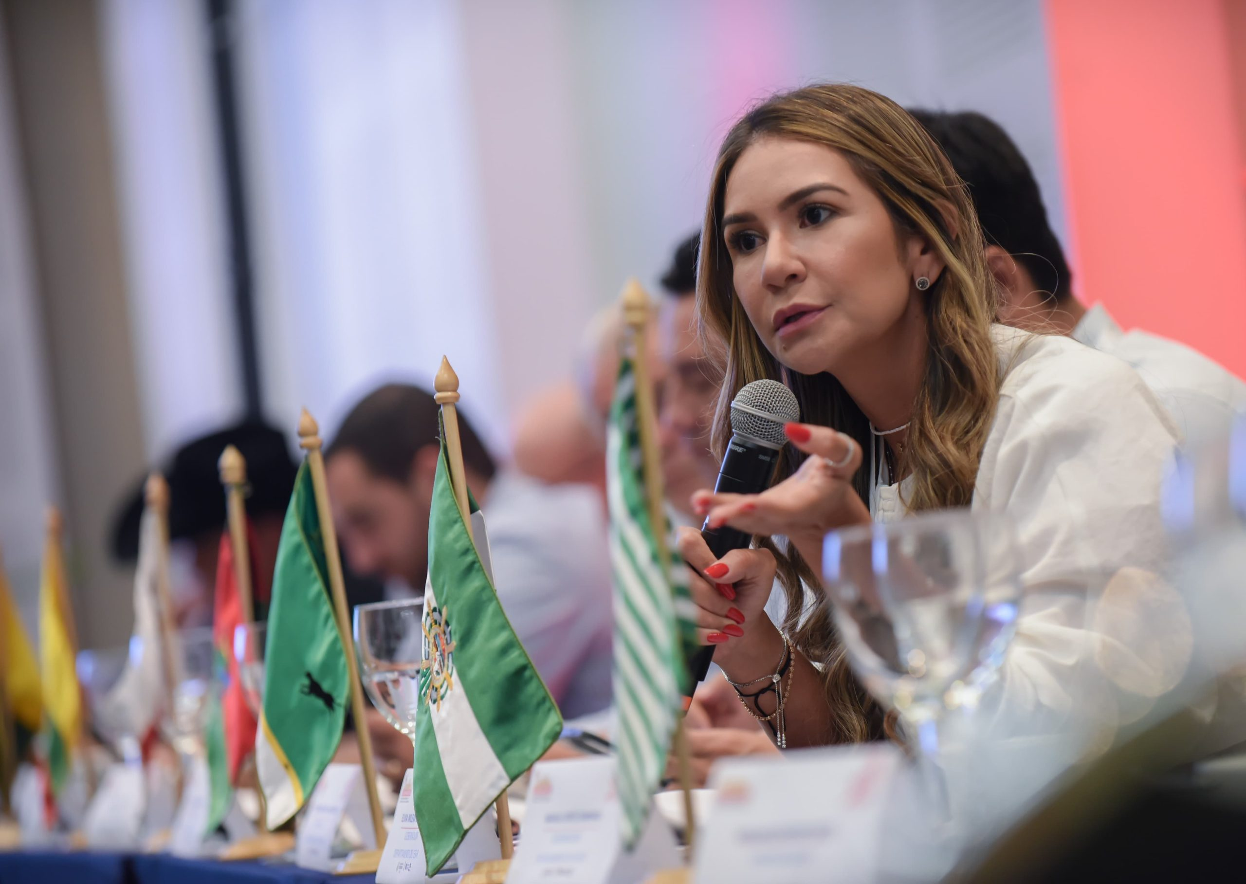 "No hay doble militancia" y "pruebas carecen de valor": abogado de Elvia Milena image
