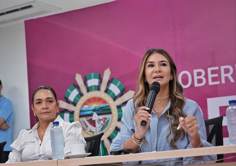Expediente de Elvia Milena pasó a despacho para fallo image