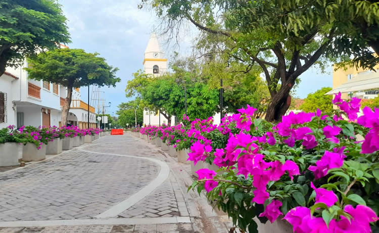 El aroma de abril que inunda a Valledupar | RTA Noticias