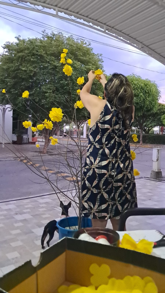 Concurso de decoración en Villa Ligia II enciende la fiebre vallenata | RTA Noticias