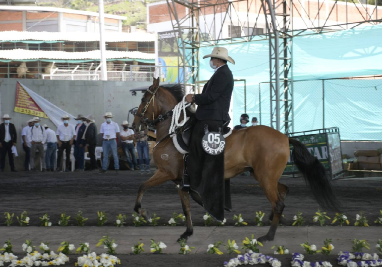 Festival Equino enciende motores para el Festival Vallenato image