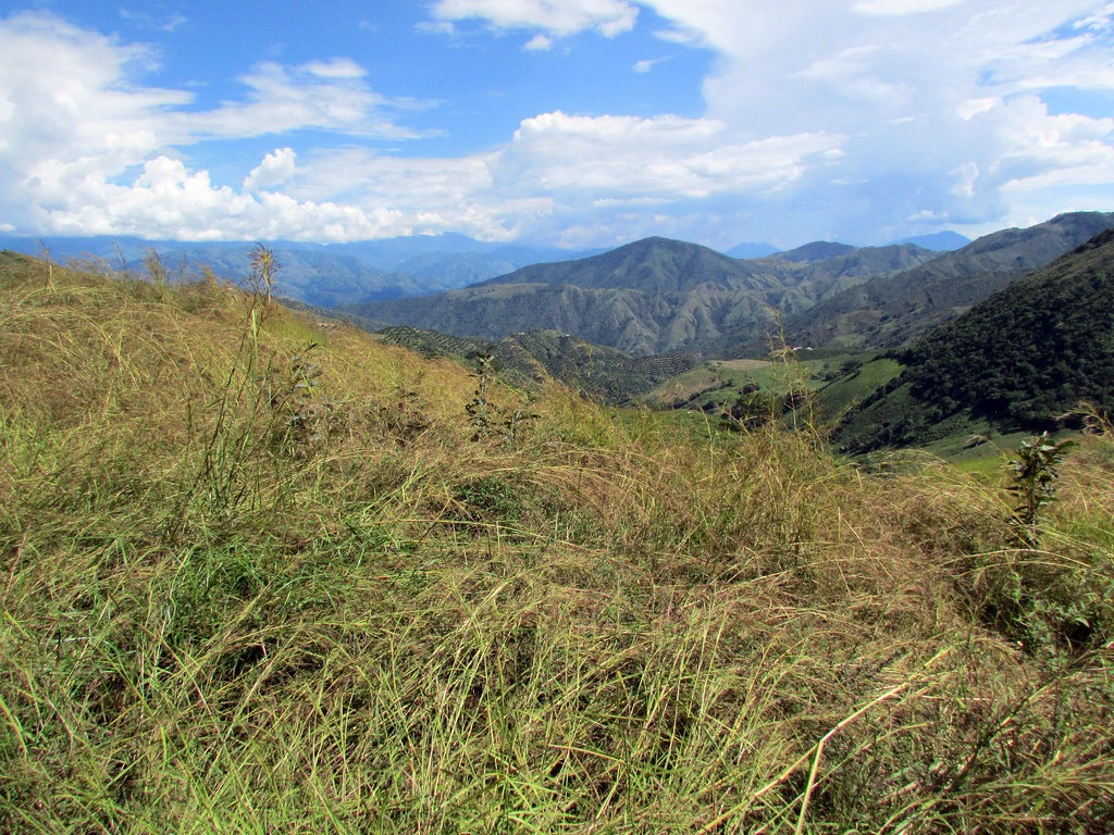 ISA Intercolombia inicia restauración ecológica en Antioquia | RTA Noticias