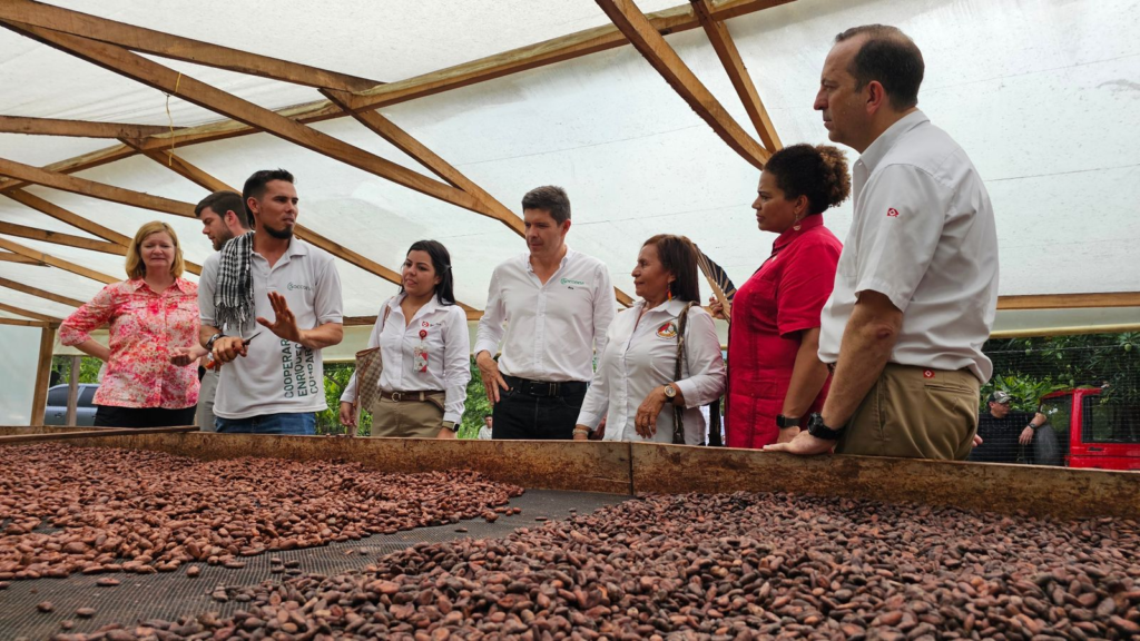 Drummond y Socodevi impulsan la revolución del cacao en Codazzi | RTA Noticias