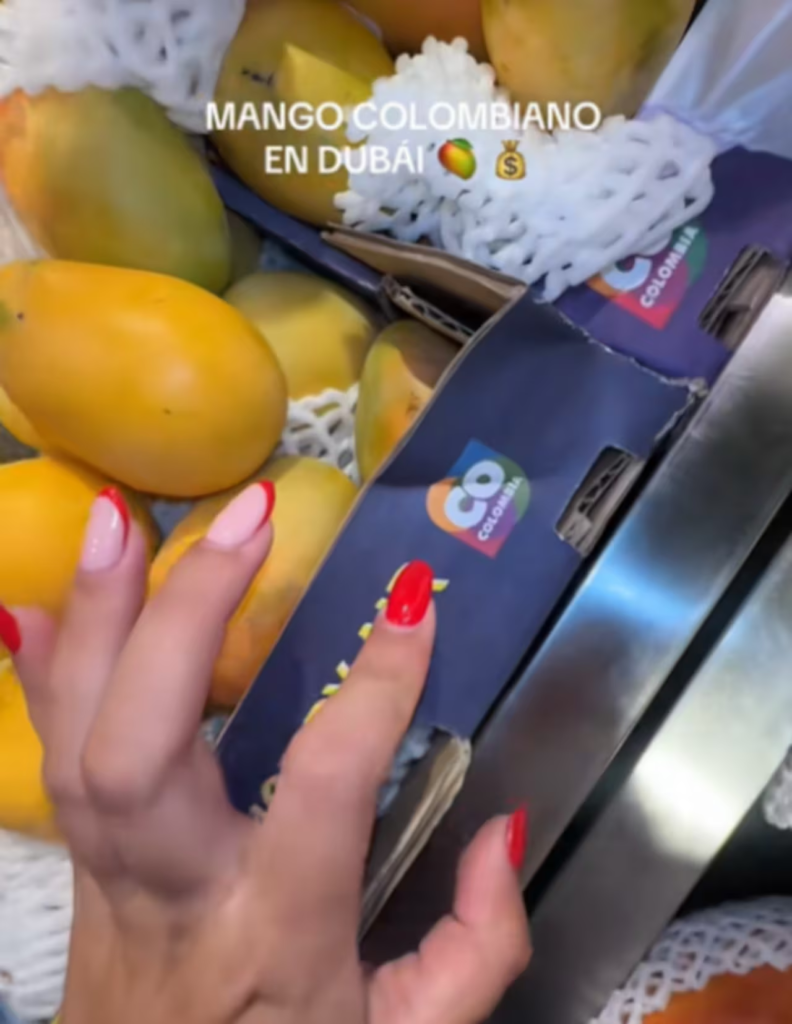 El mango colombiano que cuesta más de $60 mil en Dubái El mango colombiano que cuesta más de $60 mil en Dubái | RTA Noticias