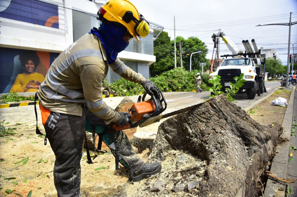 Así atienden la emergencia por vendaval en Valledupar | RTA Noticias
