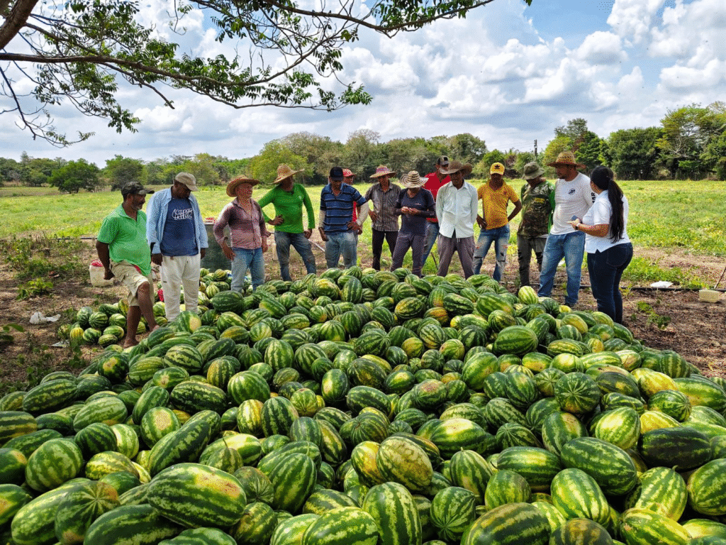 La Reforma Agraria, el gran legado del Gobierno para el pueblo | RTA Noticias