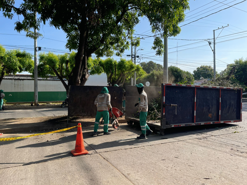 Aseo del Norte lidera jornadas de limpieza que transforman y dignifican Aseo del Norte lidera jornadas de limpieza que transforman y dignifican | RTA Noticias