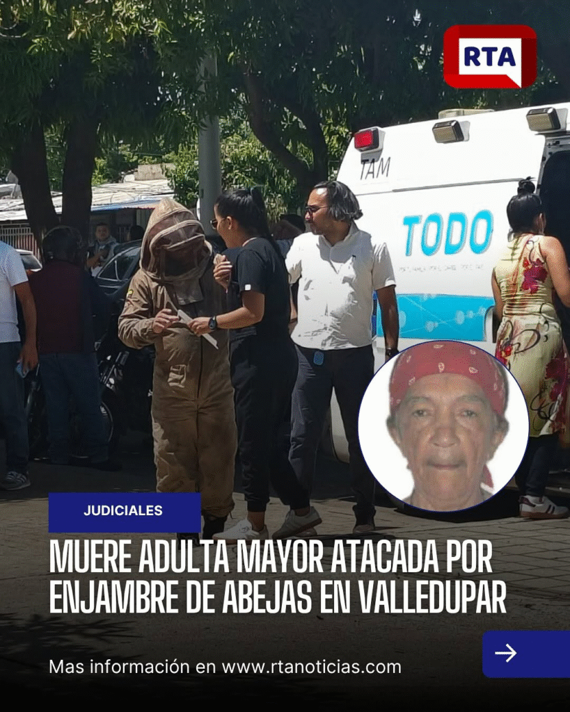 Murió adulta mayor por enjambre de abejas en Valledupar Murió adulta mayor