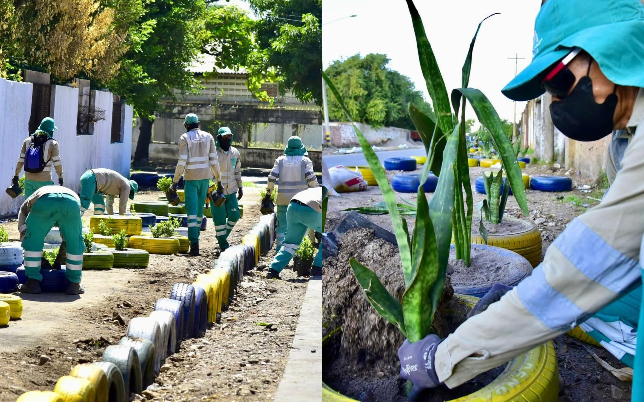 Aseo del Norte recupera puntos críticos en Valledupar image