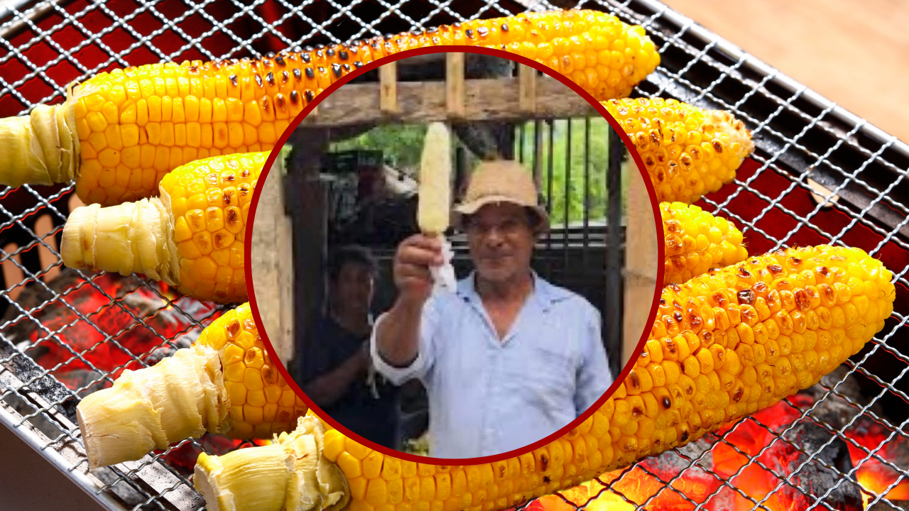 codazzi