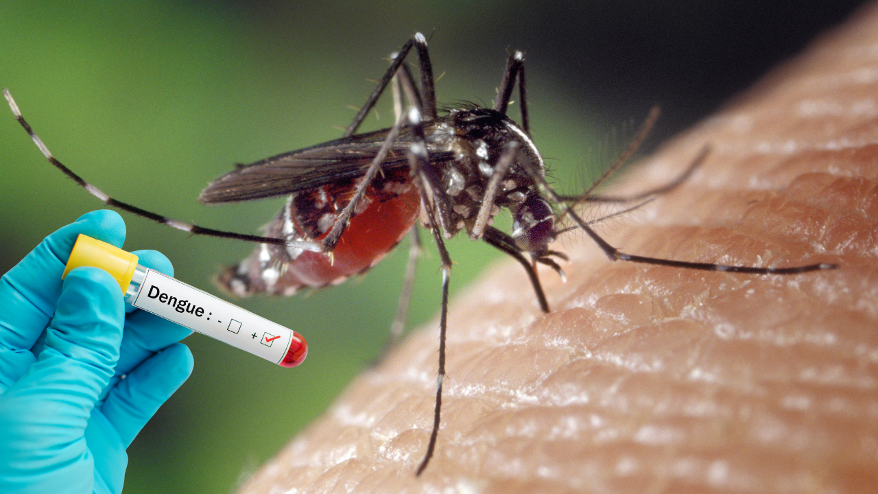 Más de 300 casos de dengue encienden alerta sanitaria en Valledupar dengue