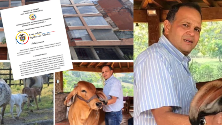 ñeñé