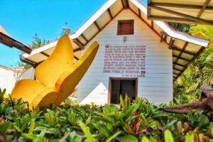 viajar a Valledupar en bus casa museo