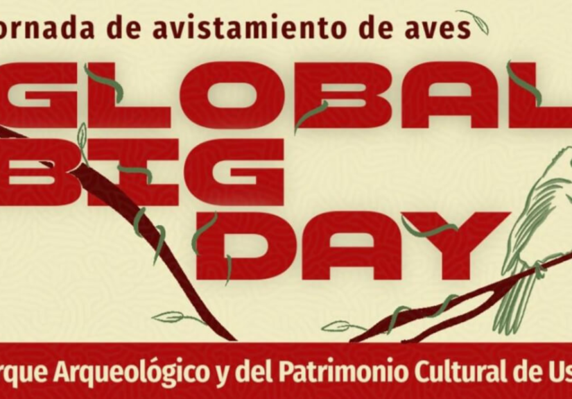 Global Big Day