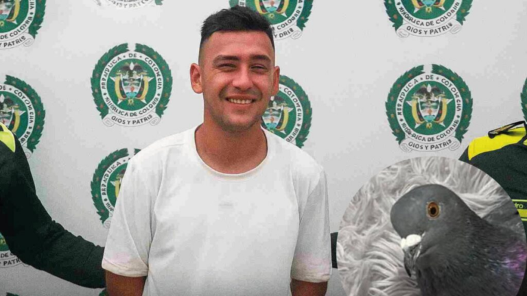 Condenado a prisión hombre que mataba palomas con los dientes en Ocaña condenado
