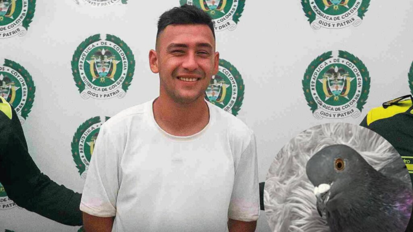Condenado a prisión hombre que mataba palomas con los dientes en Ocaña condenado