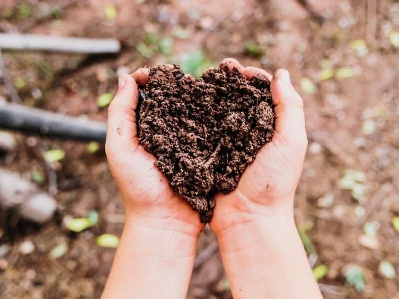 Fertilizantes ecológicos: una alternativa sostenible para una agricultura más productiva Fertilizantes ecológicos: una alternativa sostenible para una agricultura más productiva | RTA Noticias