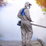 Declaran emergencia sanitaria por aumento de casos de dengue en Valledupar Dengue en Valledupar