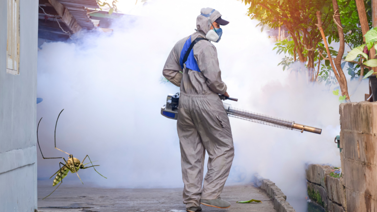 Declaran emergencia sanitaria por aumento de casos de dengue en Valledupar Dengue en Valledupar