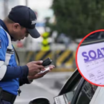 Se hunde proyecto de licencia por puntos en Colombia Licencia por puntos para conductores se cayó, en Colombia,