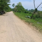 Hombres armados asesinan a dos personas en Pueblo Nuevo, Tamalameque, y generan alarma por la seguridad hombres armados