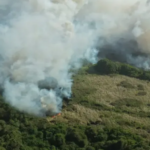 Incendio en la Vía Parque Isla Salamanca fue extinguido tras 30 horas de labores entre Atlántico y Magdalena incendio