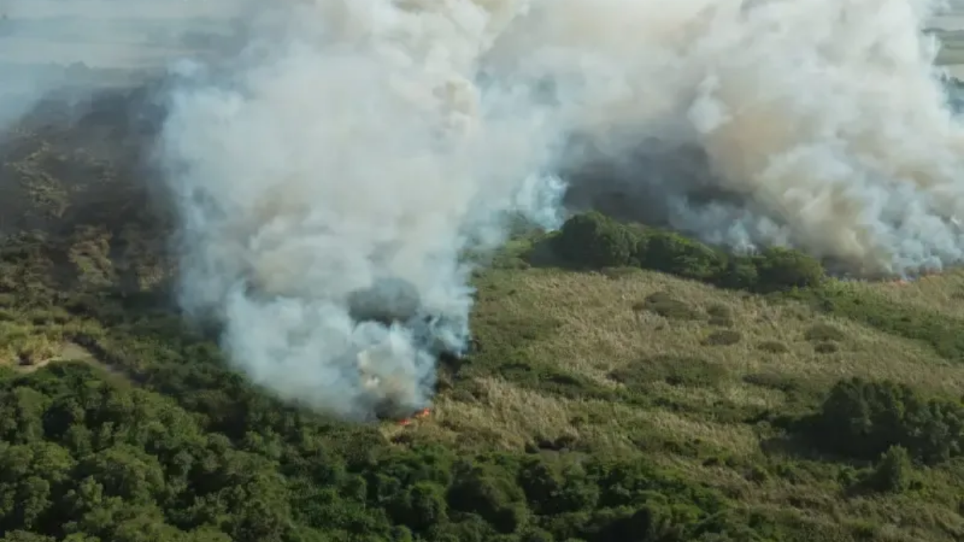 Incendio en la Vía Parque Isla Salamanca fue extinguido tras 30 horas de labores entre Atlántico y Magdalena incendio