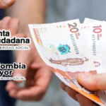 Renta ciudadana