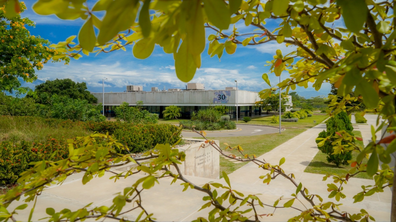 UNAL Sede de La Paz abre inscripciones para el primer semestre de 2027 UNAL